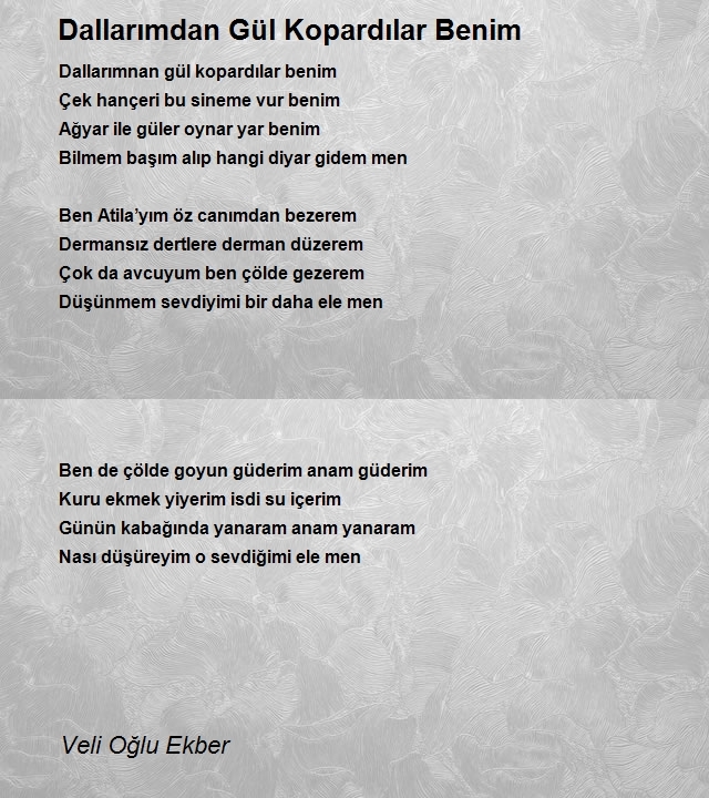 Veli Oğlu Ekber