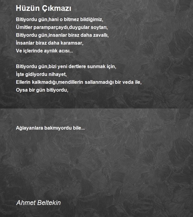 Ahmet Beltekin