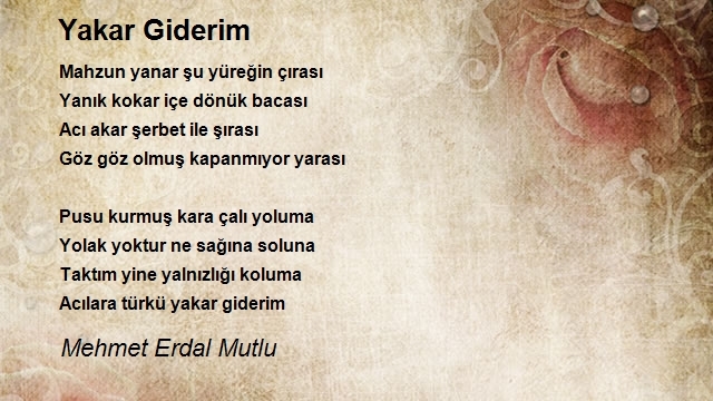 Mehmet Erdal Mutlu