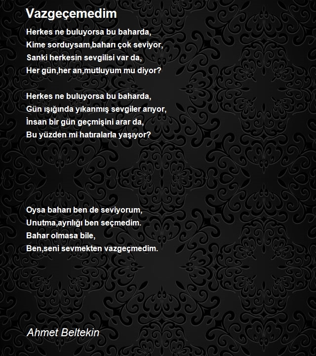 Ahmet Beltekin