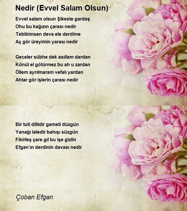 Çoban Efgan