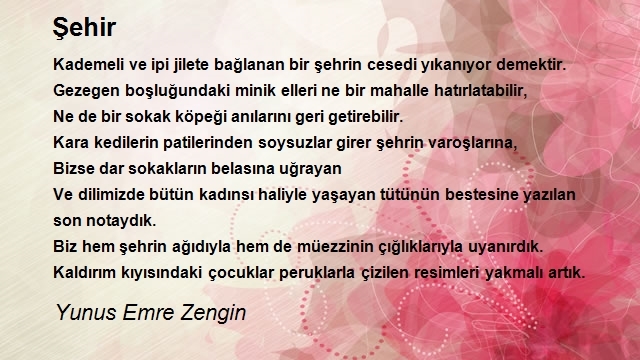 Yunus Emre Zengin