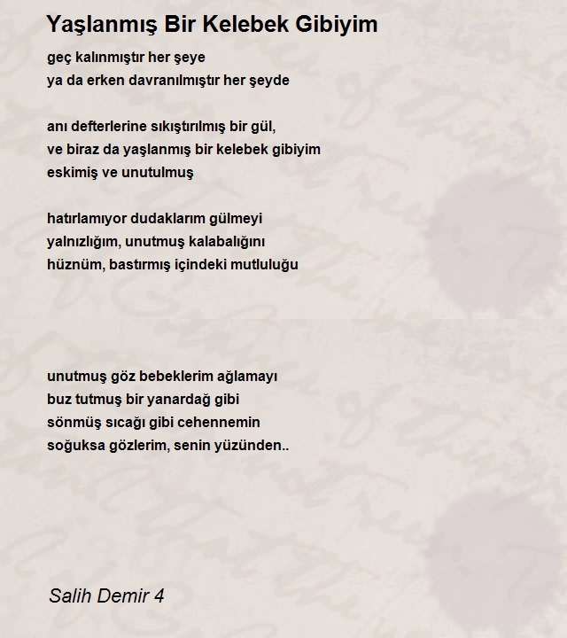 Salih Demir 4