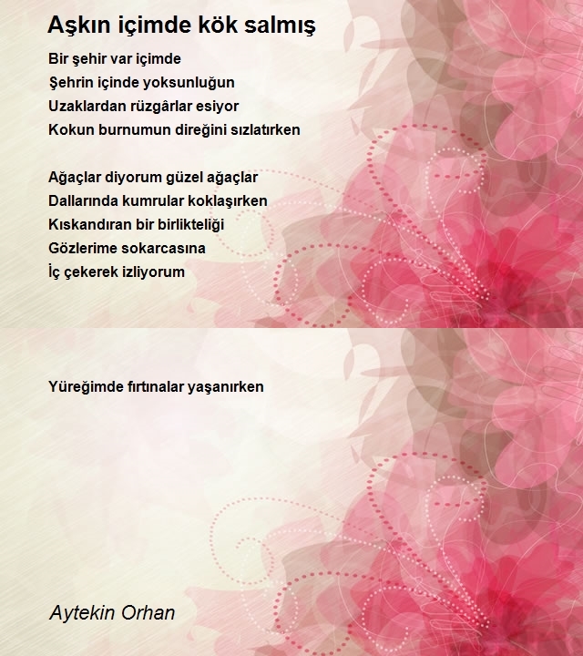 Aytekin Orhan