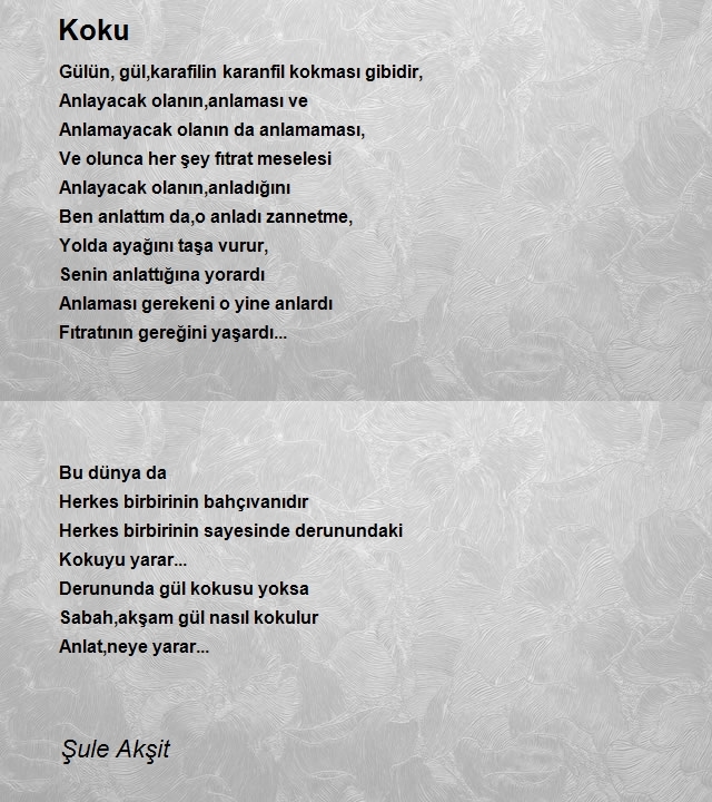 Şule Akşit