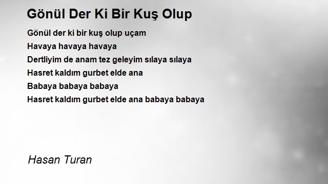 Hasan Turan