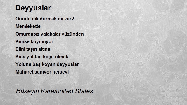 Hüseyin Kara/united States