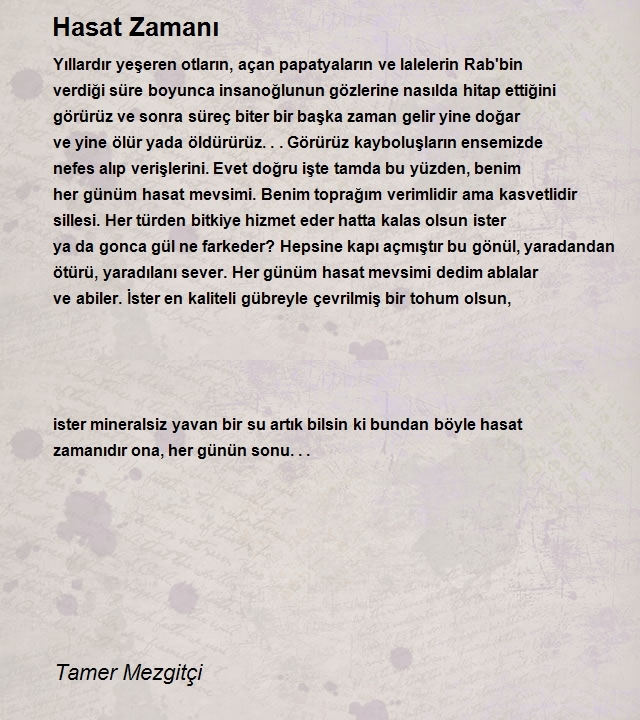 Tamer Mezgitçi