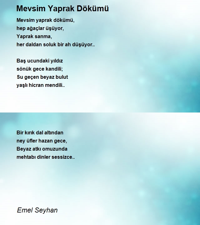 Emel Seyhan