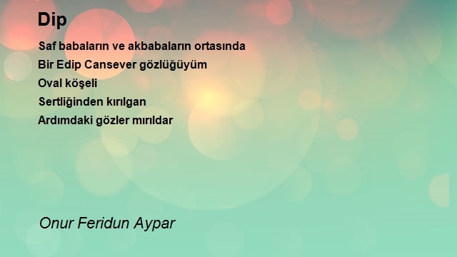 Onur Feridun Aypar