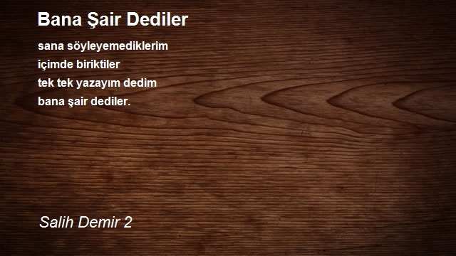 Salih Demir 2