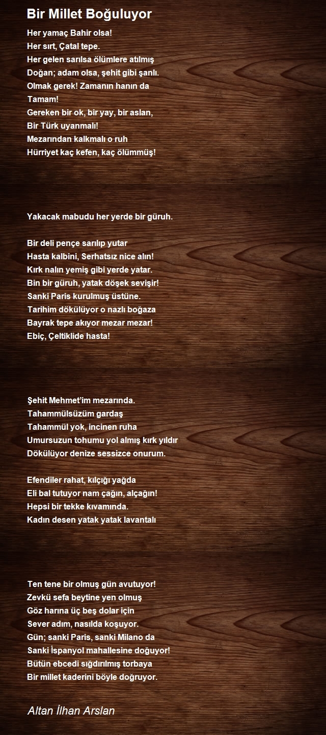 Altan İlhan Arslan