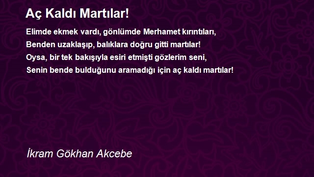 İkram Gökhan Akcebe