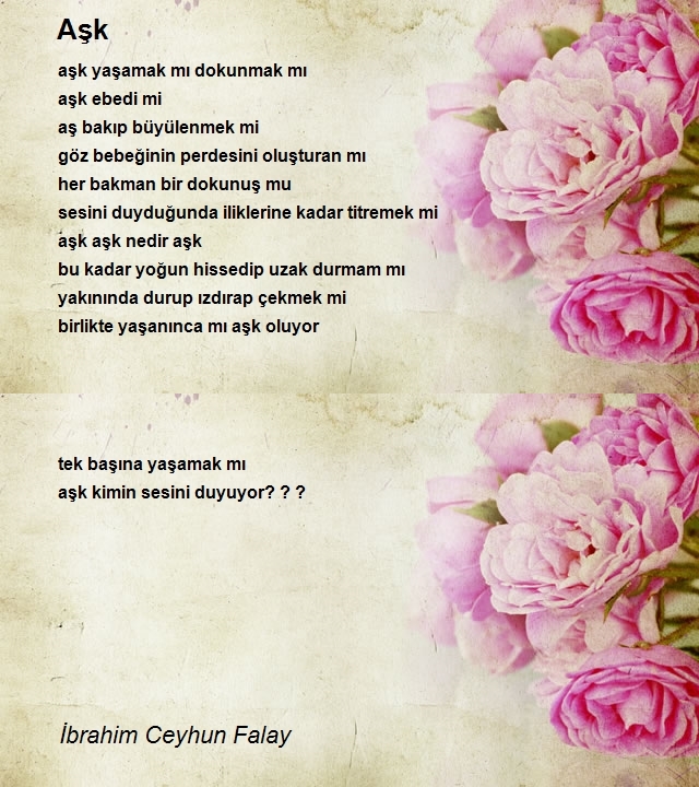 İbrahim Ceyhun Falay