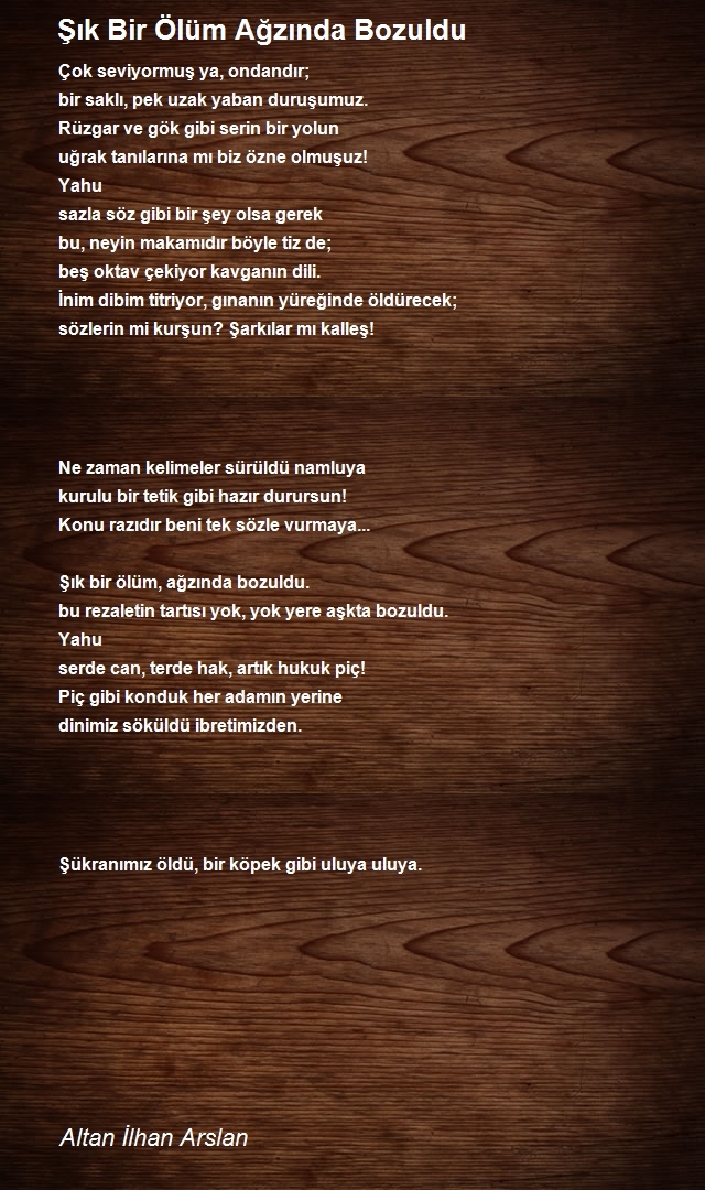 Altan İlhan Arslan