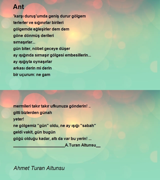 Ahmet Turan Altunsu