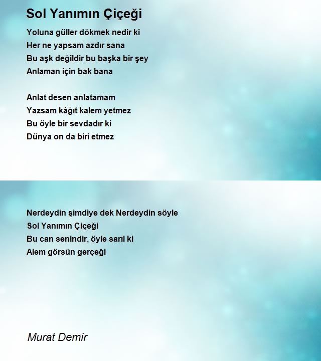 Murat Demir