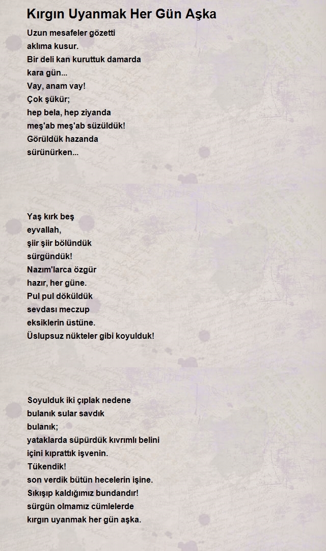 Altan İlhan Arslan