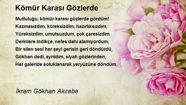 İkram Gökhan Akcebe