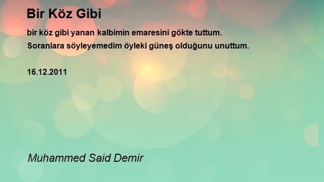 Muhammed Said Demir