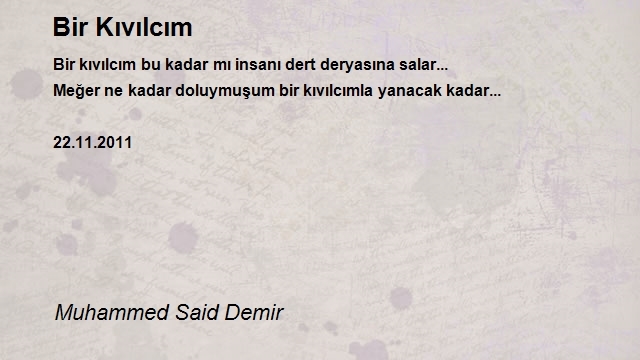 Muhammed Said Demir