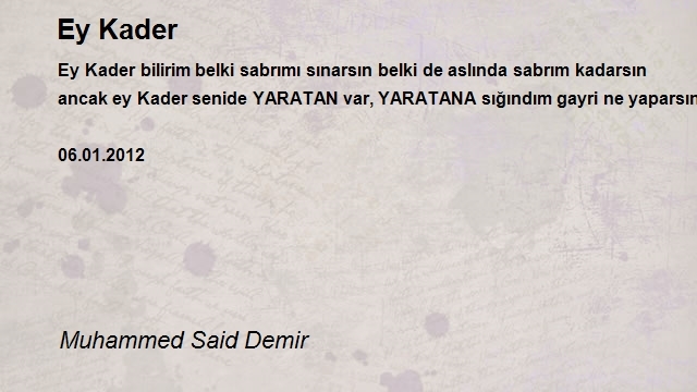 Muhammed Said Demir