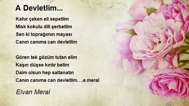 Elvan Meral