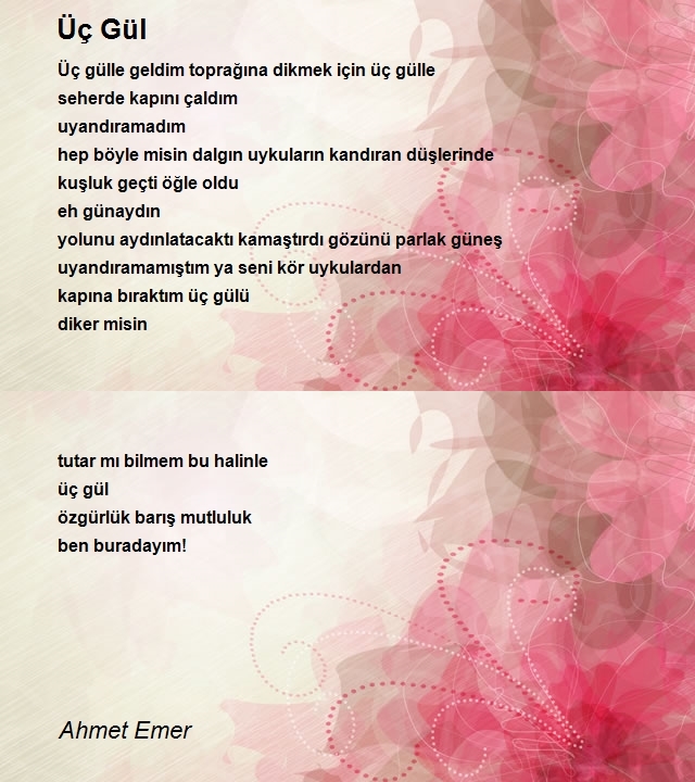 Ahmet Emer