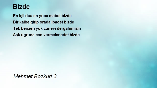 Mehmet Bozkurt 3