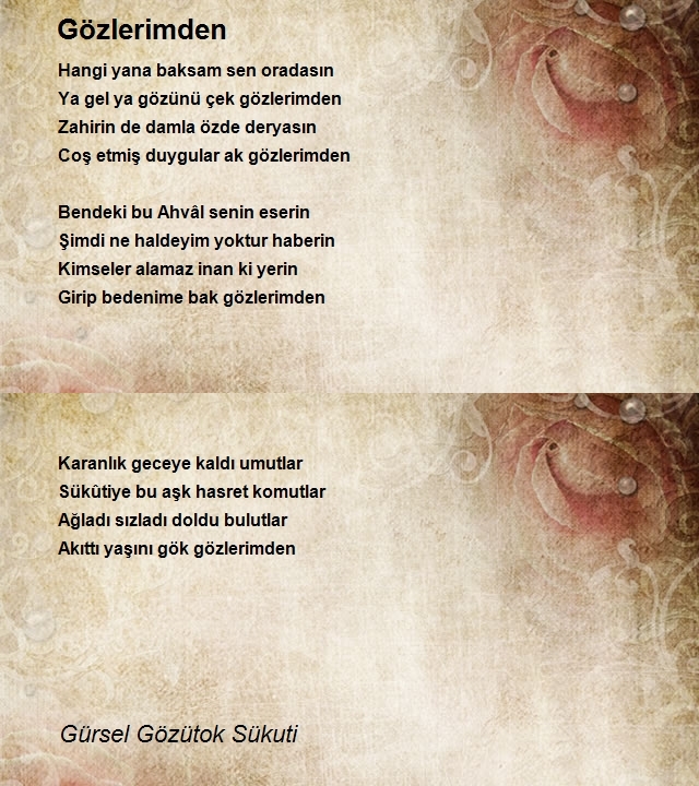 Gürsel Gözütok Sükuti