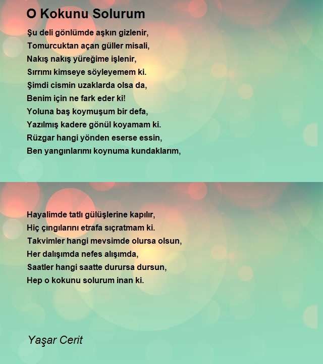 Yaşar Cerit