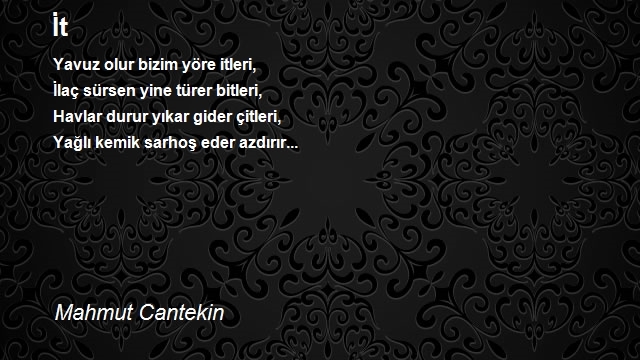 Mahmut Cantekin