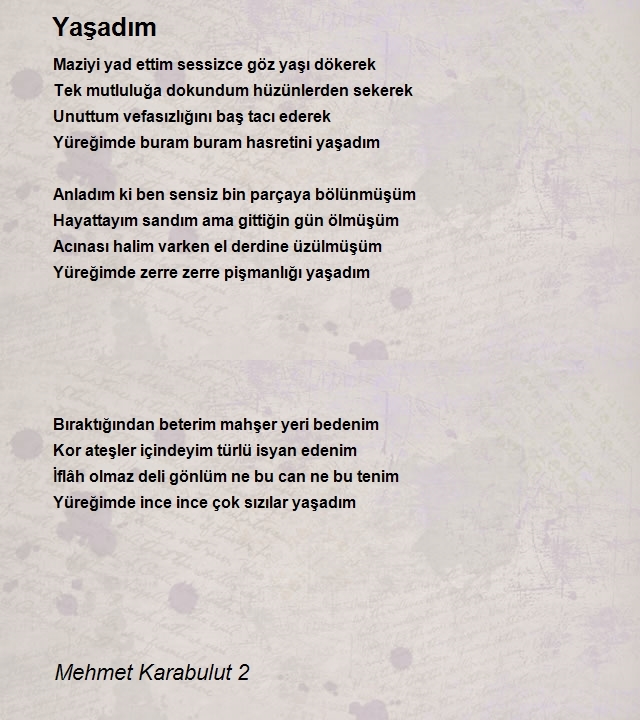 Mehmet Karabulut 2