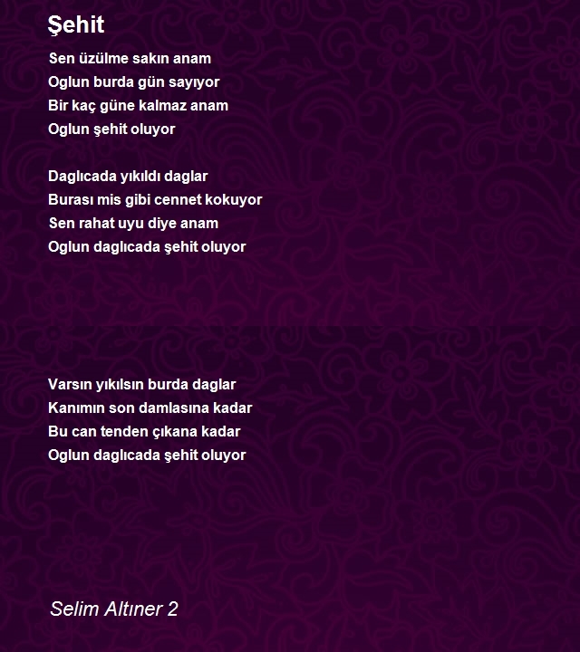 Selim Altıner 2