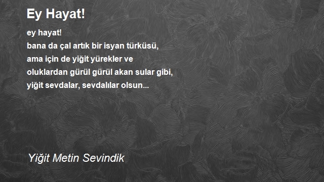 Yiğit Metin Sevindik