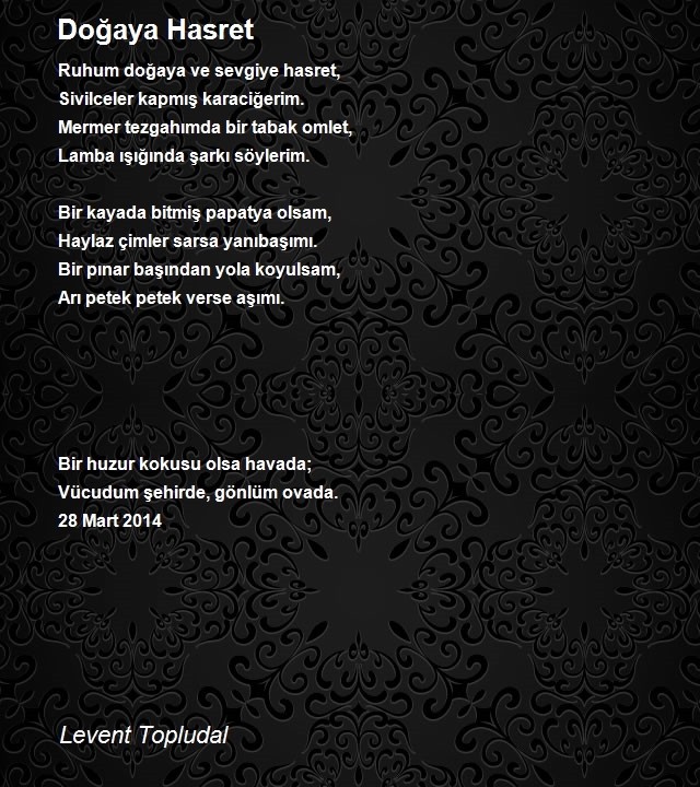 Levent Topludal