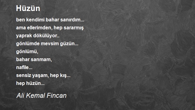 Ali Kemal Fincan