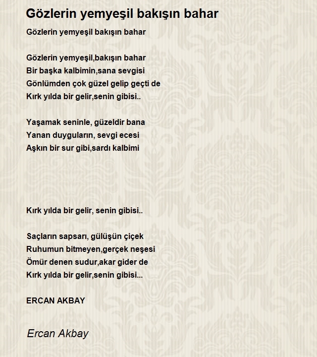 Ercan Akbay