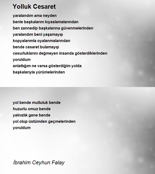 İbrahim Ceyhun Falay