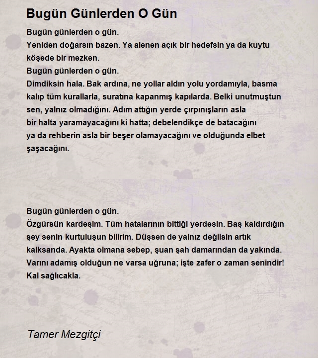 Tamer Mezgitçi