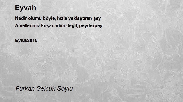 Furkan Selçuk Soylu