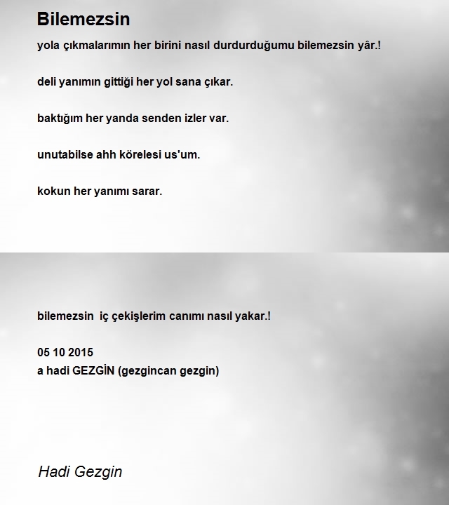 Hadi Gezgin