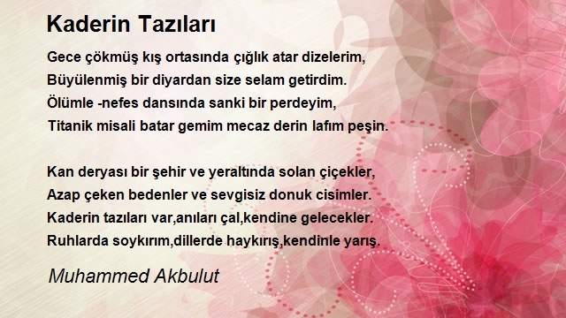 Muhammed Akbulut