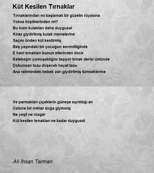 Ali İhsan Tarman