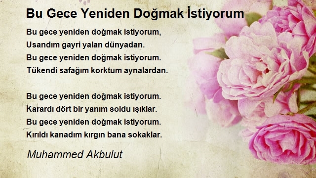 Muhammed Akbulut