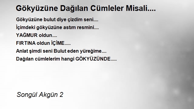 Songül Akgün 2