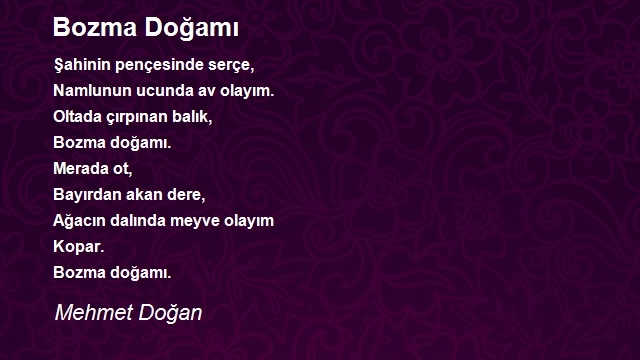 Mehmet Doğan