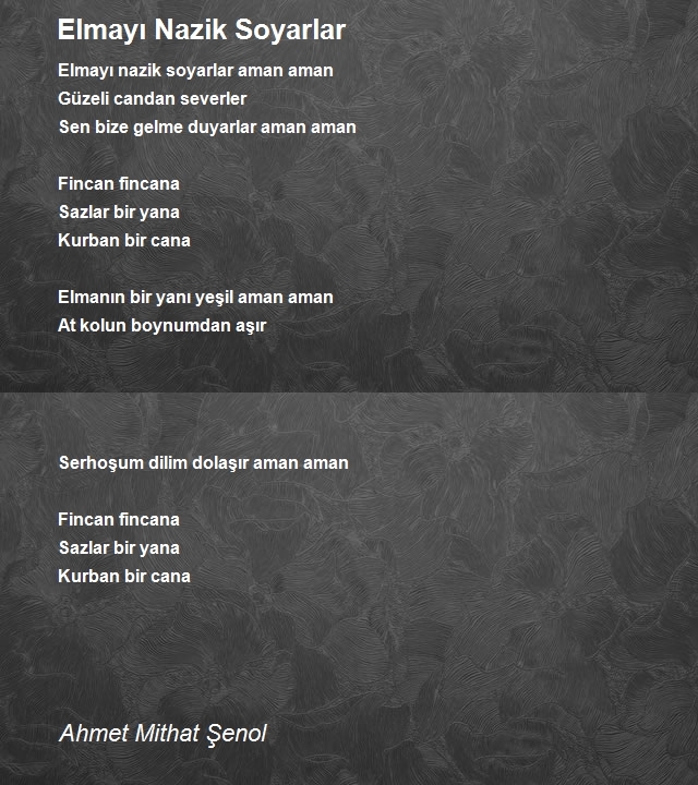 Ahmet Mithat Şenol