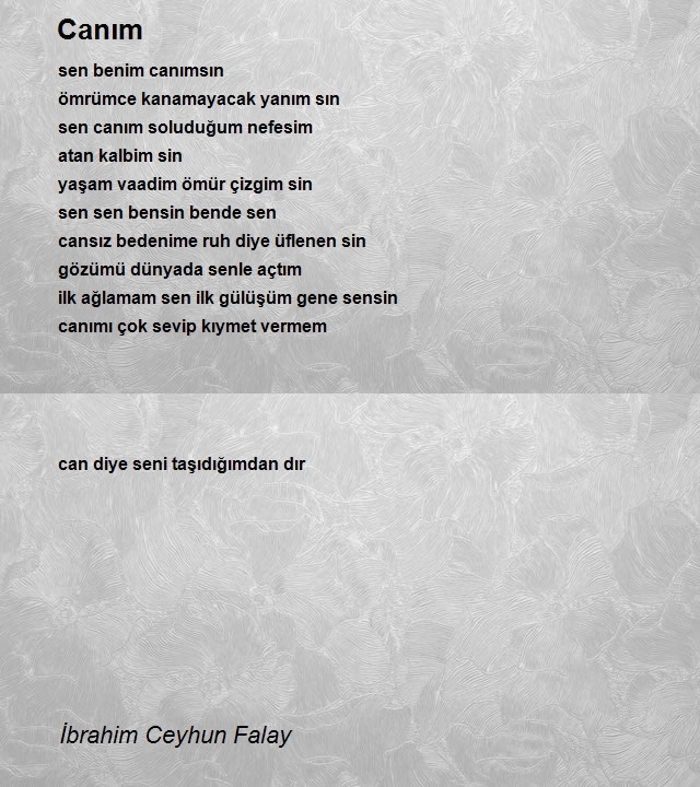 İbrahim Ceyhun Falay