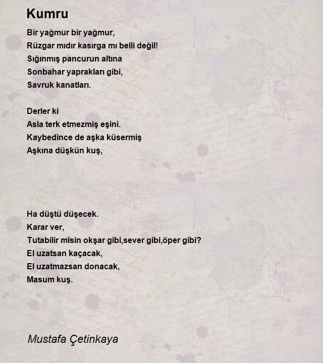 Mustafa Çetinkaya